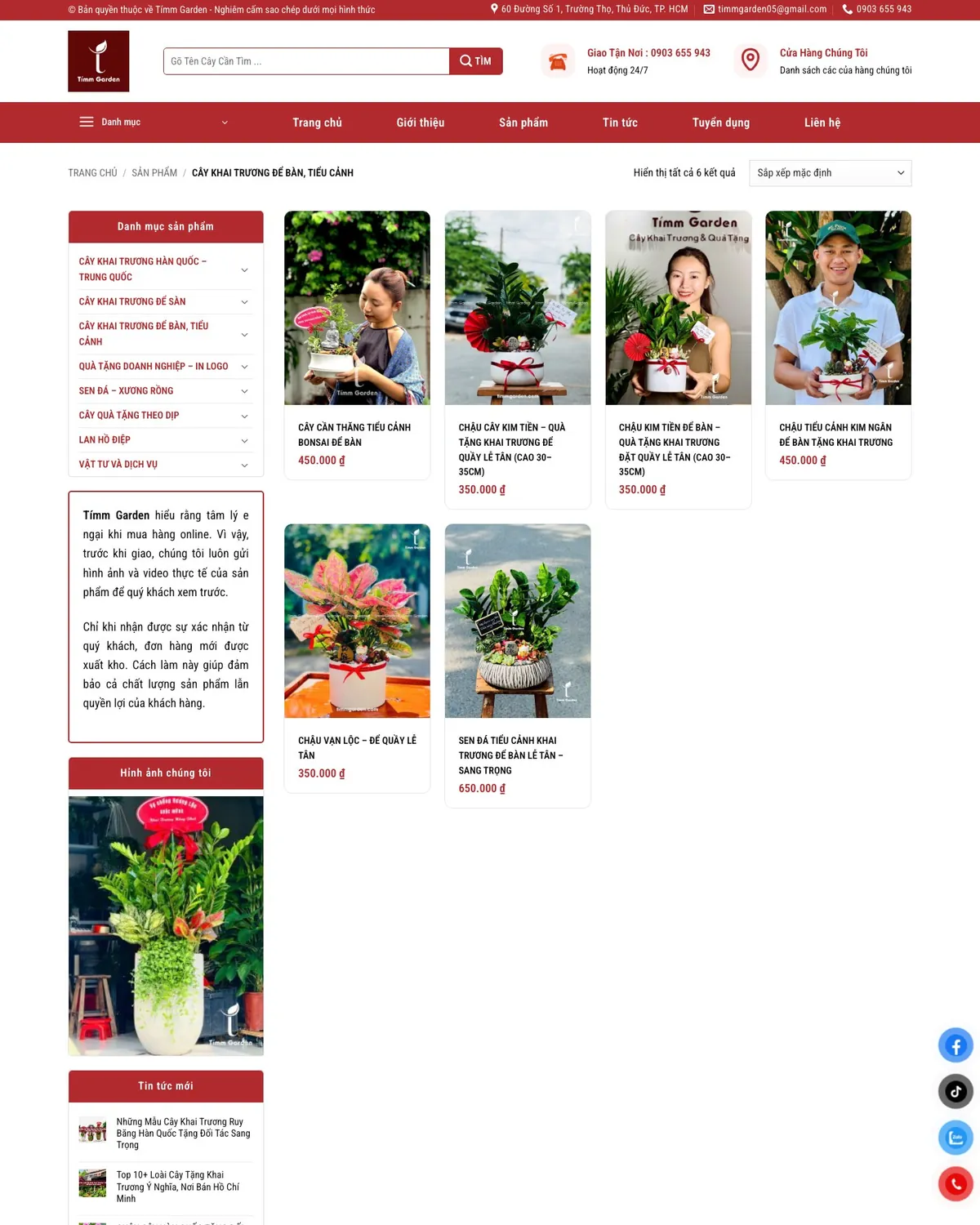 Trang cây khai trương để bàn, tiểu cảnh